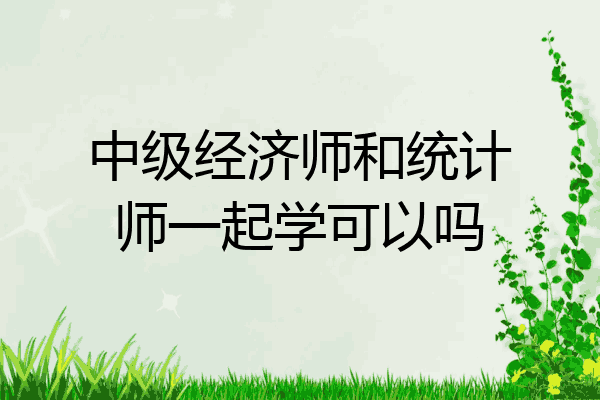 中级经济师和统计师一起学可以吗