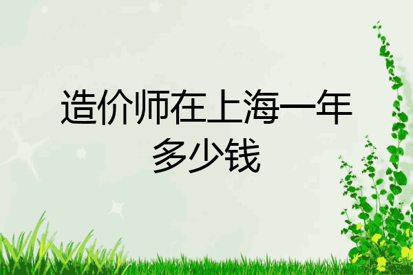 造价师在上海一年多少钱