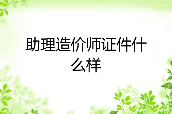 助理造价师证件什么样