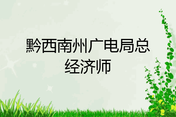 黔西南州广电局总经济师