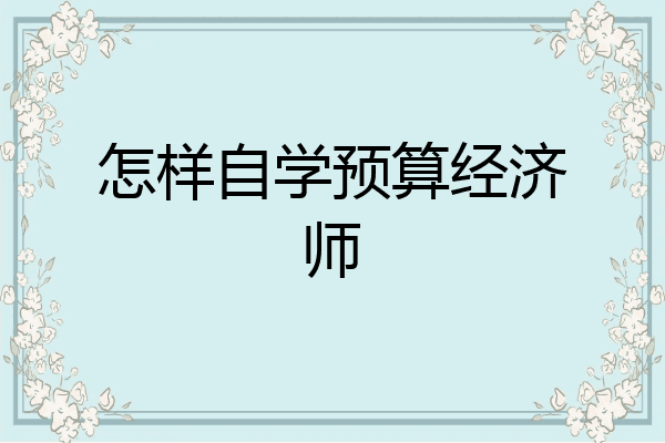 怎样自学预算经济师