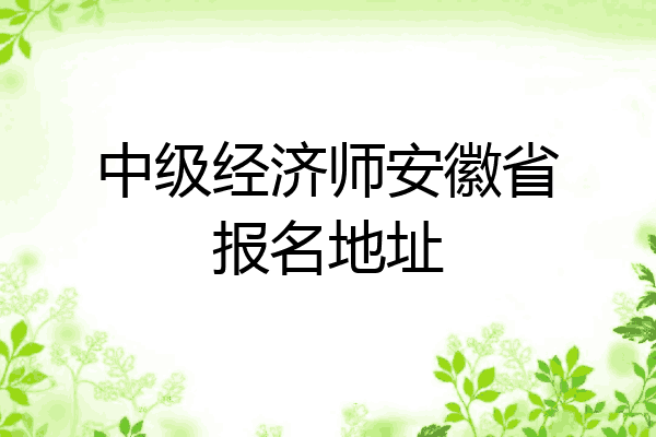 中级经济师安徽省报名地址