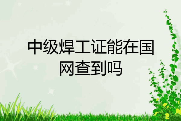 中级焊工证能在国网查到吗