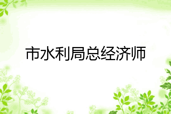 市水利局总经济师
