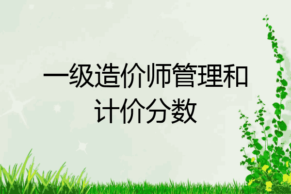一级造价师管理和计价分数