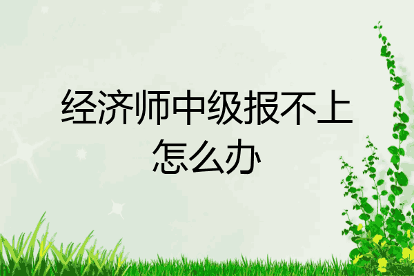 经济师中级报不上怎么办