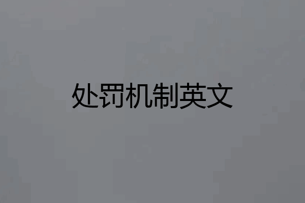 处罚机制英文
