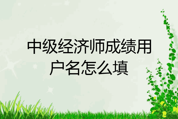 中级经济师成绩用户名怎么填