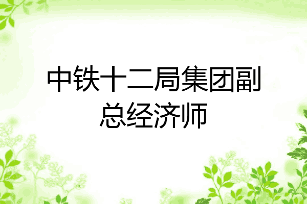 中铁十二局集团副总经济师