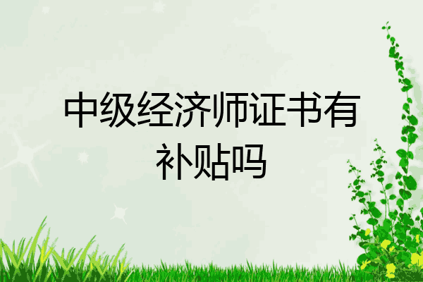 中级经济师证书有补贴吗