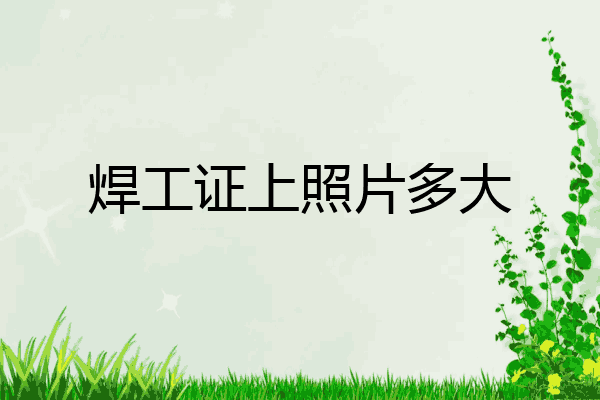 焊工证上照片多大
