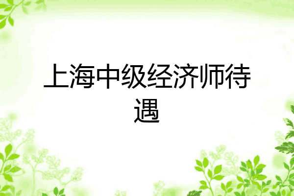上海中级经济师待遇