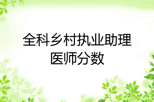 全科乡村执业助理医师分数