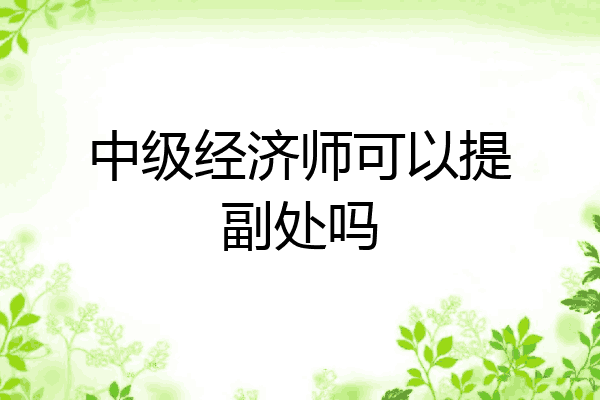 中级经济师可以提副处吗