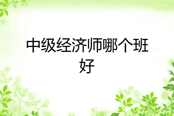 中级经济师哪个班好