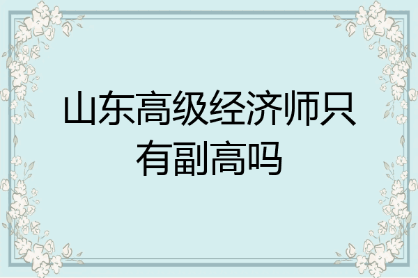 山东高级经济师只有副高吗