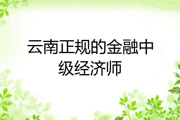 云南正规的金融中级经济师