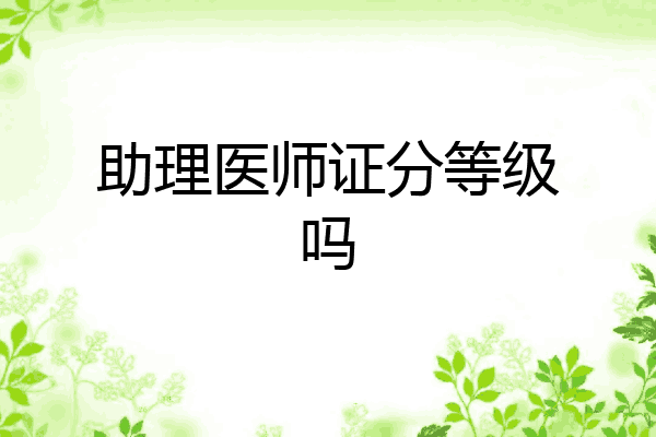 助理医师证分等级吗