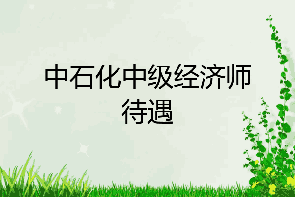 中石化中级经济师待遇