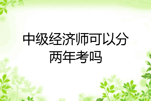 中级经济师可以分两年考吗