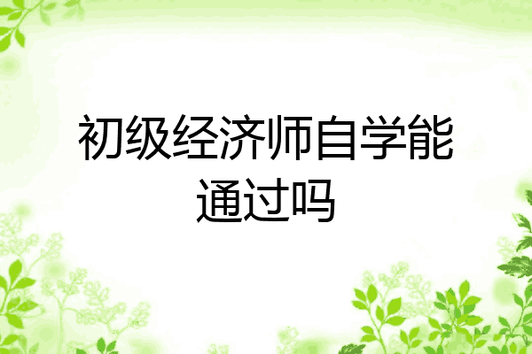初级经济师自学能通过吗