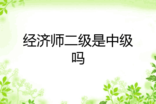 经济师二级是中级吗