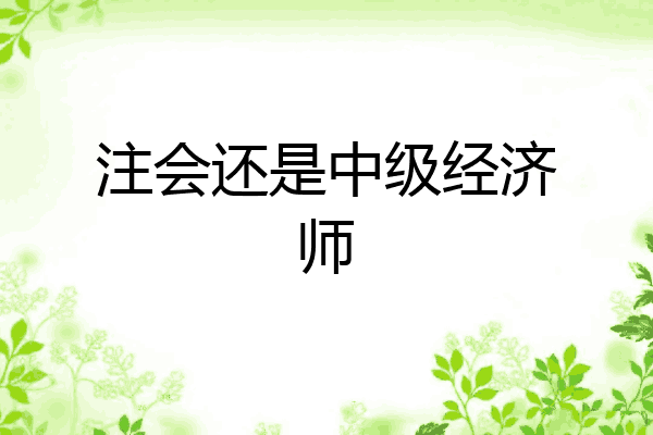 注会还是中级经济师