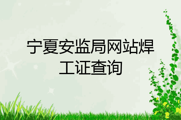 宁夏安监局网站焊工证查询