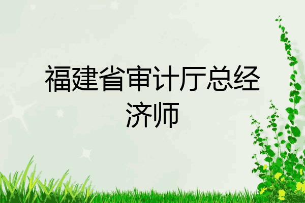 福建省审计厅总经济师