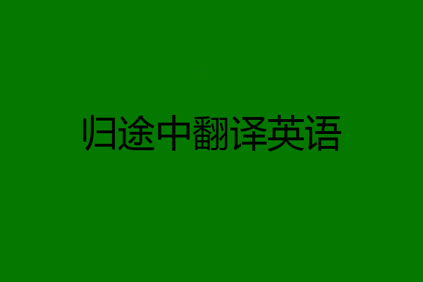 归途中翻译英语
