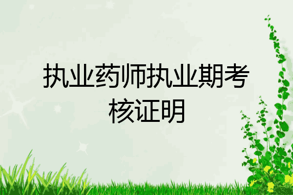 执业药师执业期考核证明