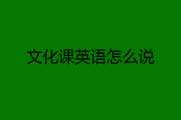 文化课英语怎么说