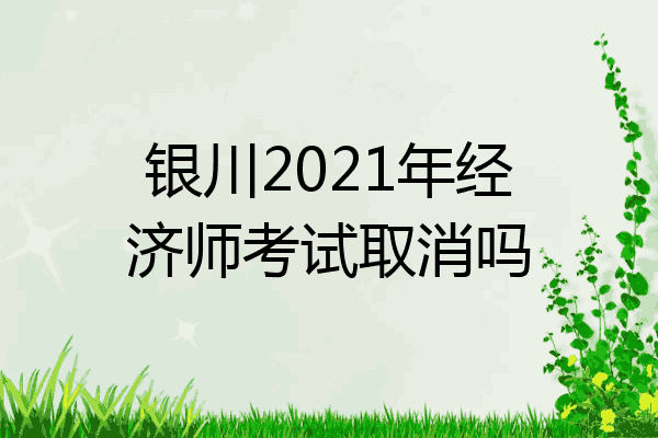 银川2021年经济师考试取消吗