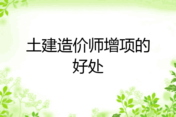 土建造价师增项的好处