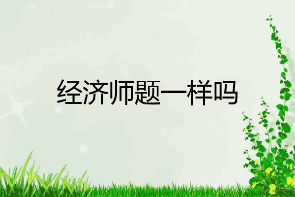经济师题一样吗