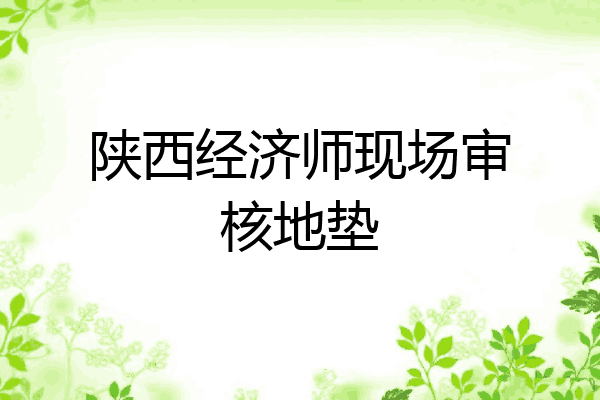 陕西经济师现场审核地垫