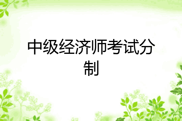 中级经济师考试分制