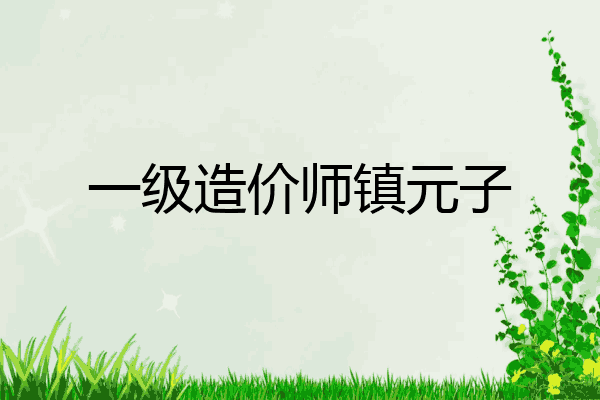 一级造价师镇元子