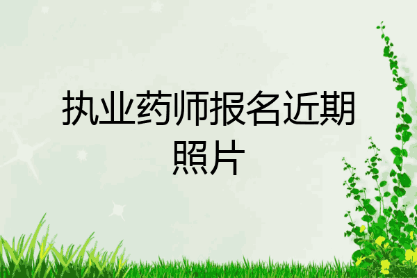 执业药师报名近期照片