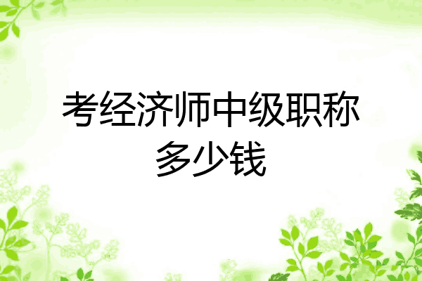 考经济师中级职称多少钱