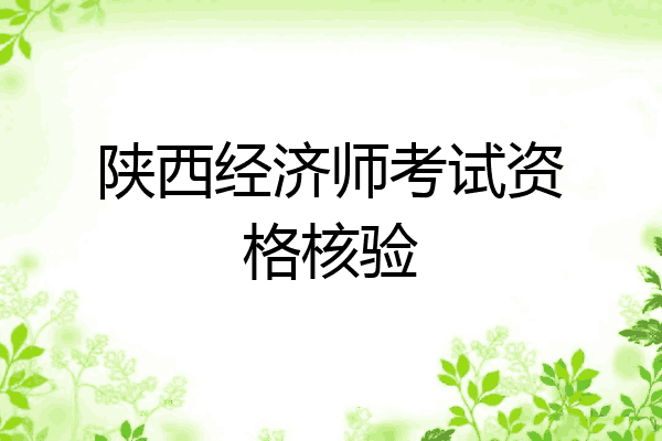 陕西经济师考试资格核验