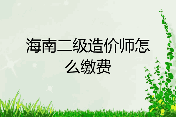 海南二级造价师怎么缴费