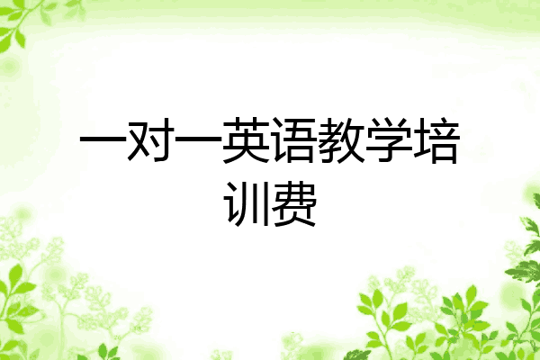 一对一英语教学培训费
