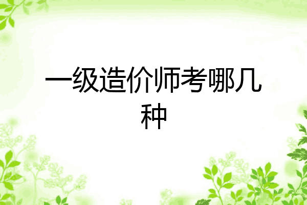 一级造价师考哪几种
