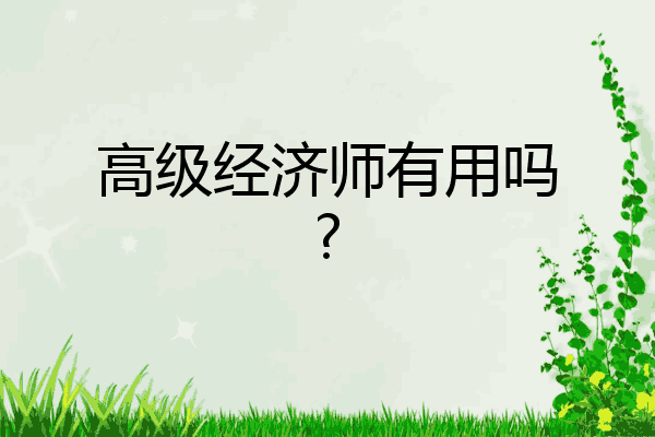 高级经济师有用吗?