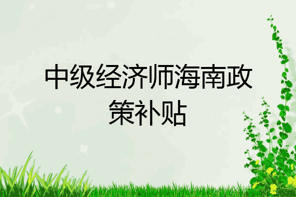 中级经济师海南政策补贴
