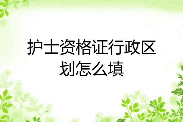 护士资格证行政区划怎么填