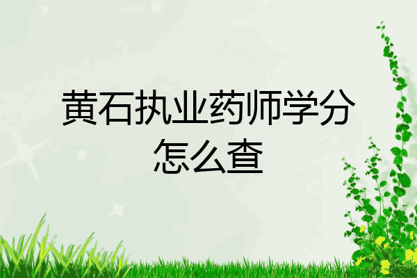 黄石执业药师学分怎么查