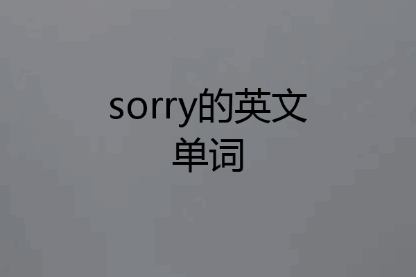 sorry的英文单词