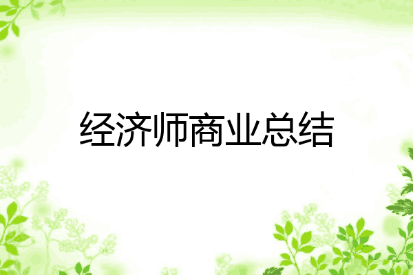 经济师商业总结